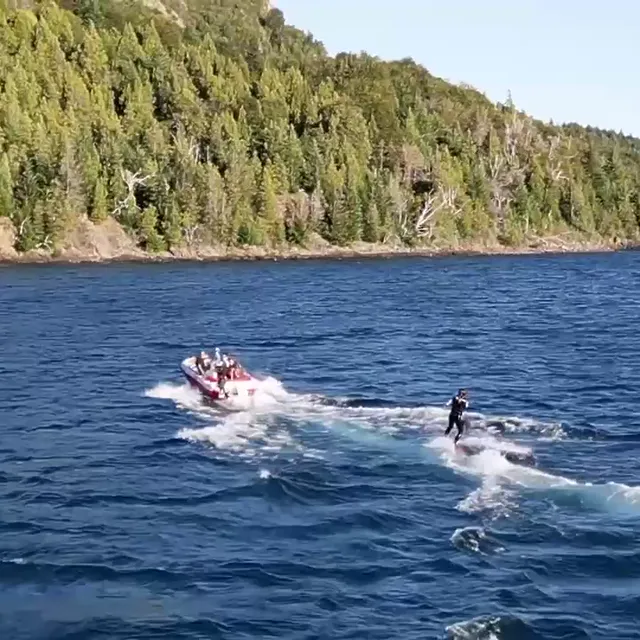 Embarcación remolcando a una persona que hace wakeboard en el lago, frente a una costa boscosa